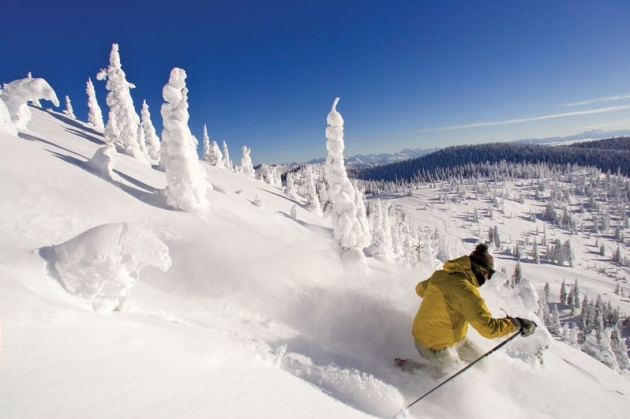 skiing powder